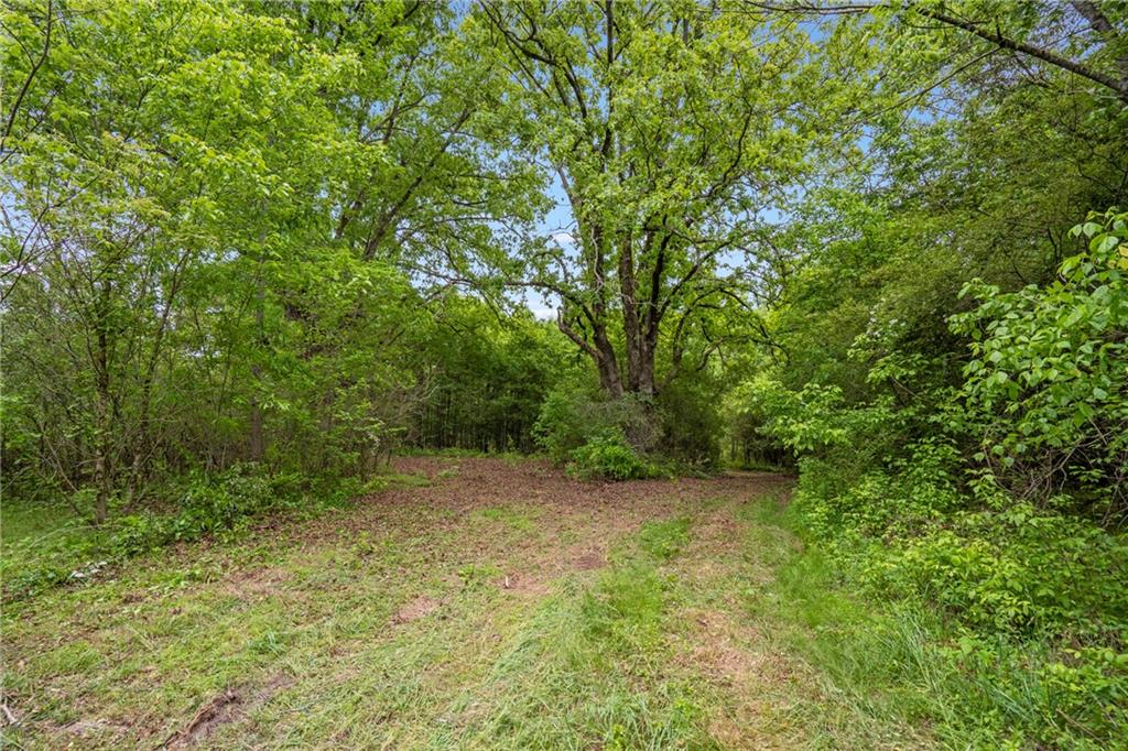 Mountain Road, Alpharetta, Georgia image 7