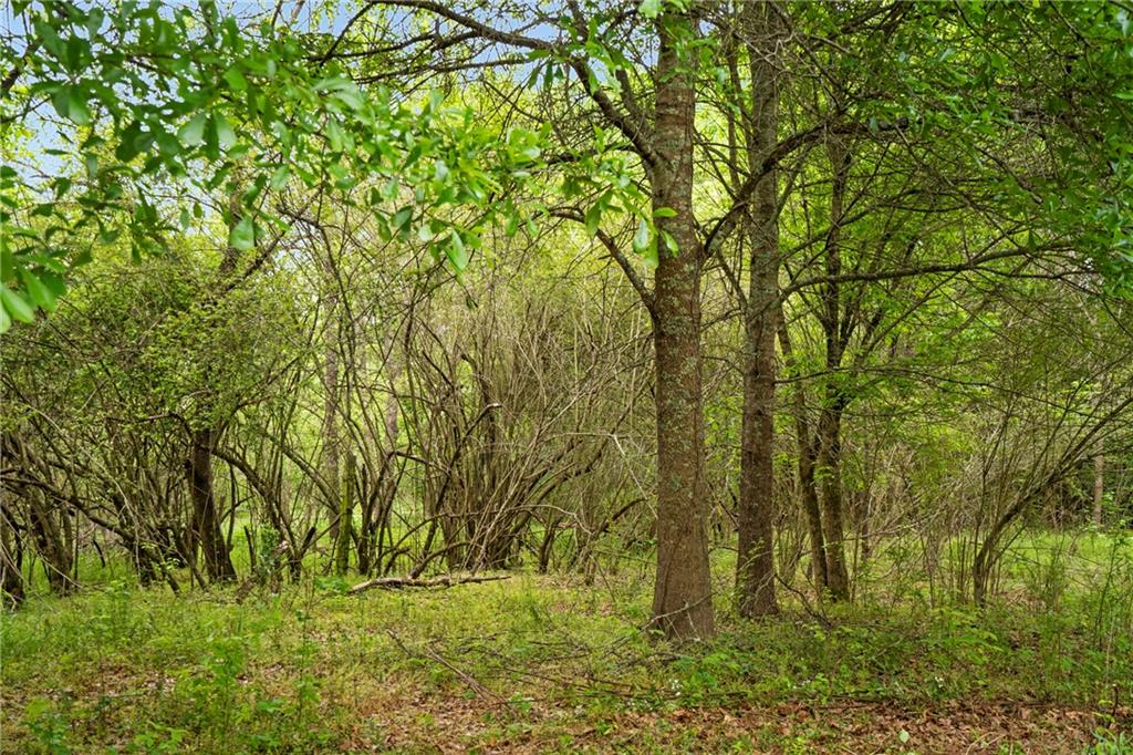 Mountain Road, Alpharetta, Georgia image 15