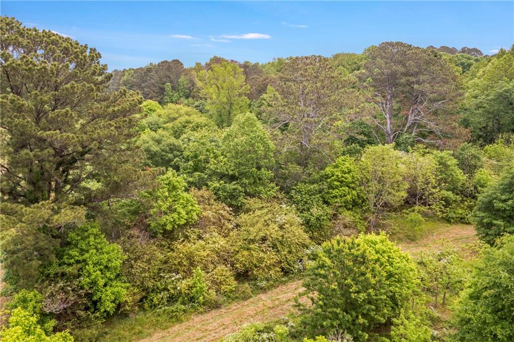 Mountain Road, Alpharetta, Georgia image 19
