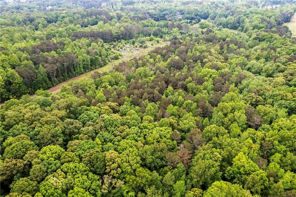 Mountain Road, Alpharetta, Georgia image 17