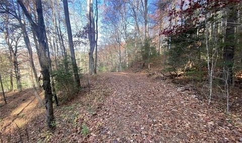 Vacant Land For Sale - 1 Barefoot Hills<br/> Towns County, Hiawassee, GA 30546