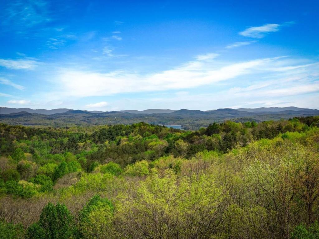 245 Davenport Mountain Road 3
