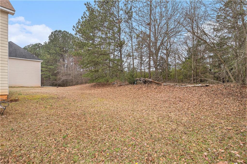 345 Timberlake Terrace, Covington, Georgia image 20