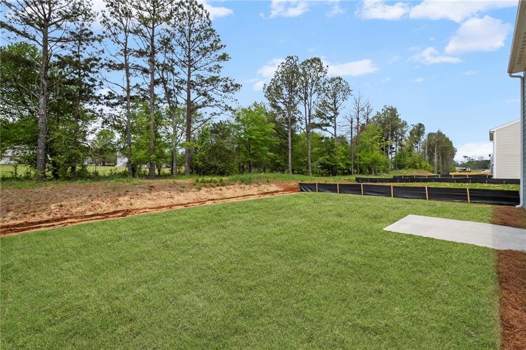 126 Cherry Glen Way, Euharlee, Georgia image 32