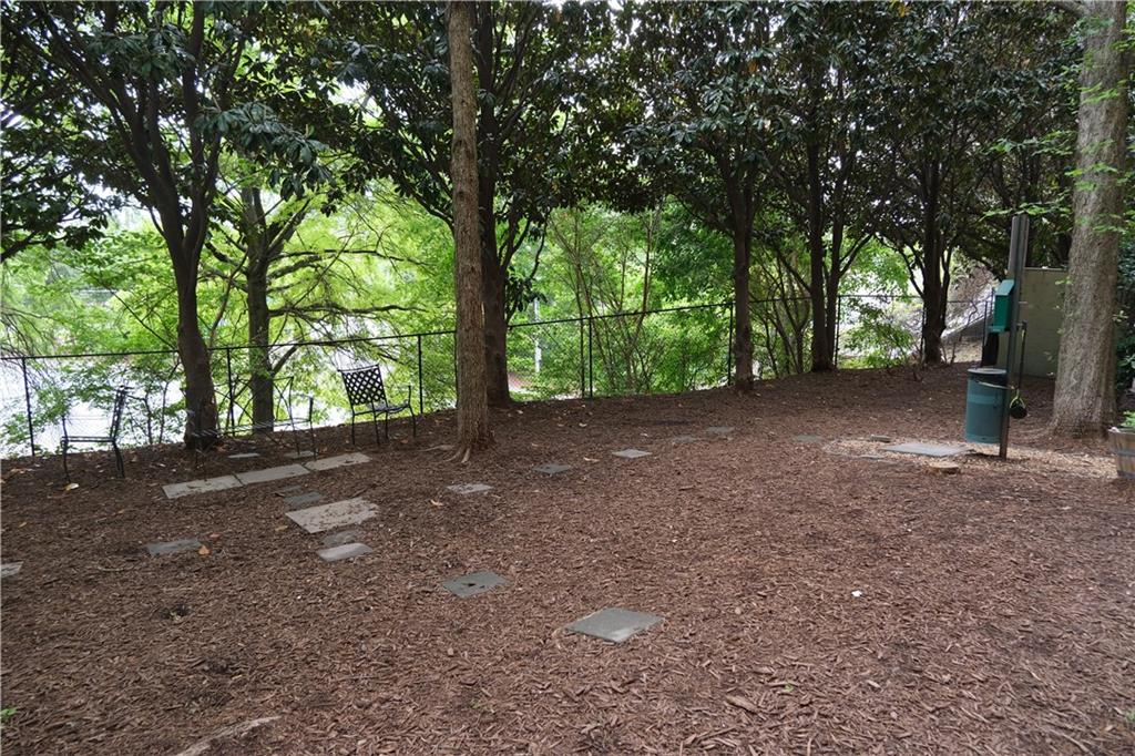 115 W Peachtree Place #709, Atlanta, Georgia image 25