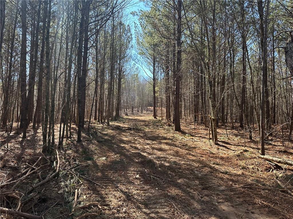 11-/+ Patriot, Dahlonega, Georgia image 1