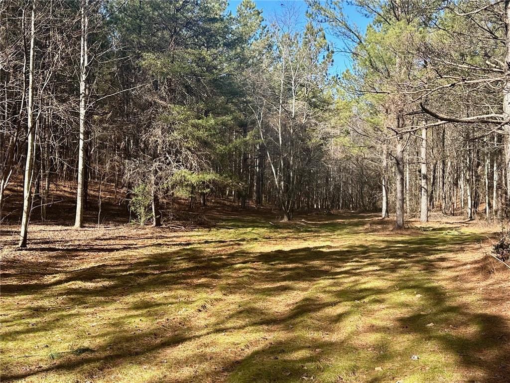 11-/+ Patriot, Dahlonega, Georgia image 2
