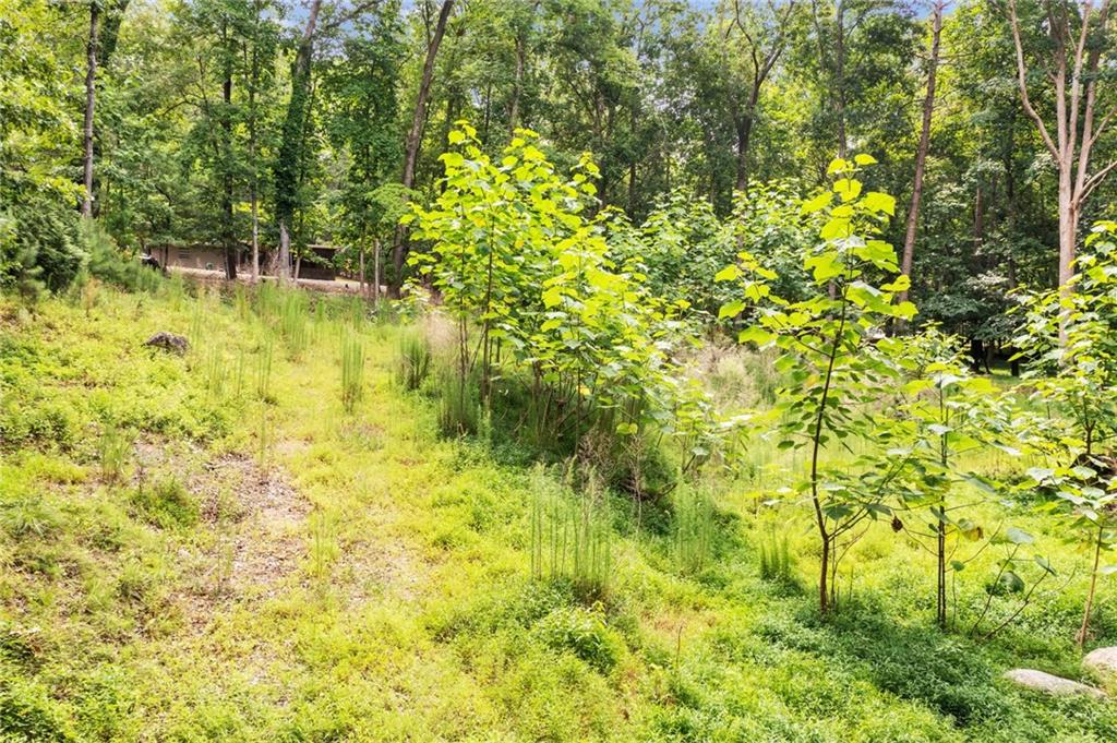 33 Yellow Hammer Drive, White, Georgia image 20