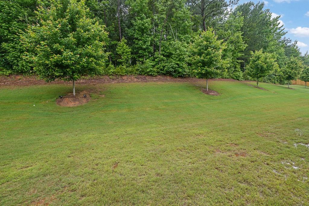 1998 Nuthatch Drive, Hoschton, Georgia image 29
