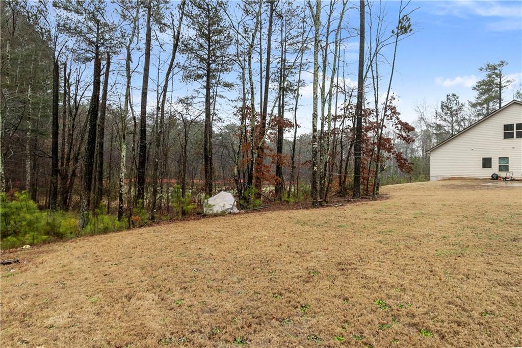 8268 E Carroll Road, Whitesburg, Georgia image 30