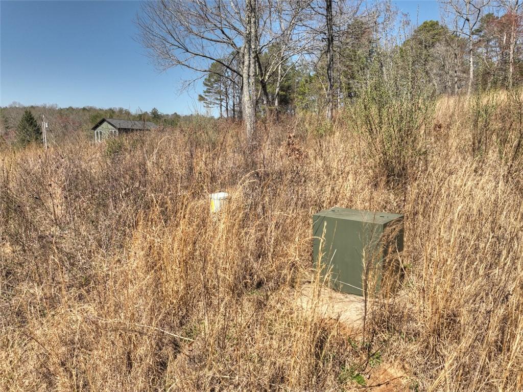 2 Arbor Creek Trail, Mineral Bluff, Georgia image 5