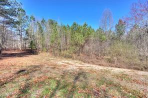 302 Vinson Mountain Loop, Rockmart, Georgia image 32