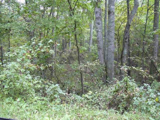 RARE LARGE TRACT OF LAND IN DAWSON COUNTY! BEAUTIFUL CRYSTAL FALLS GOLF COMMUNITY BEING BUILT ACROSS THE ROAD! CLOSE TO RESEVOIR! GREAT OPPORTUNITY FOR BUILDER/DEVELOPERS! SMALL CREEK ON PROPERTY!