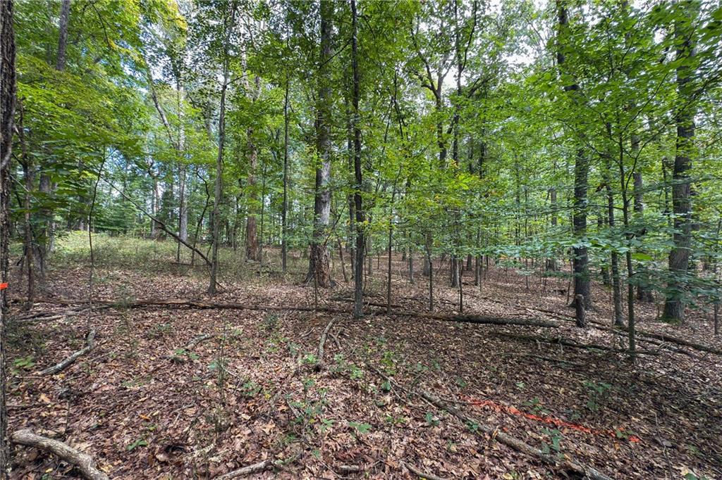 0 Old Stilesboro Road 3