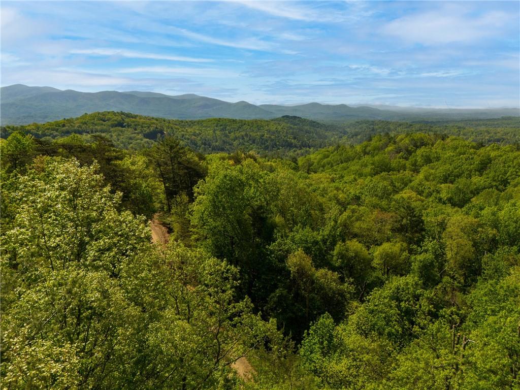 Lot 73 Mountain View Road, Ellijay, Georgia image 2