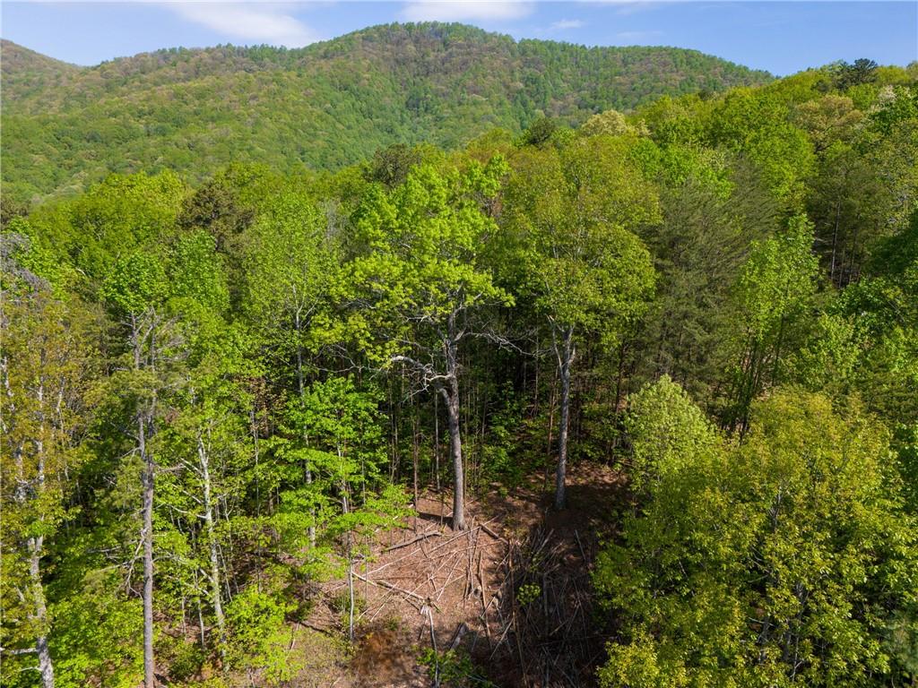 Lot 73 Mountain View Road, Ellijay, Georgia image 6