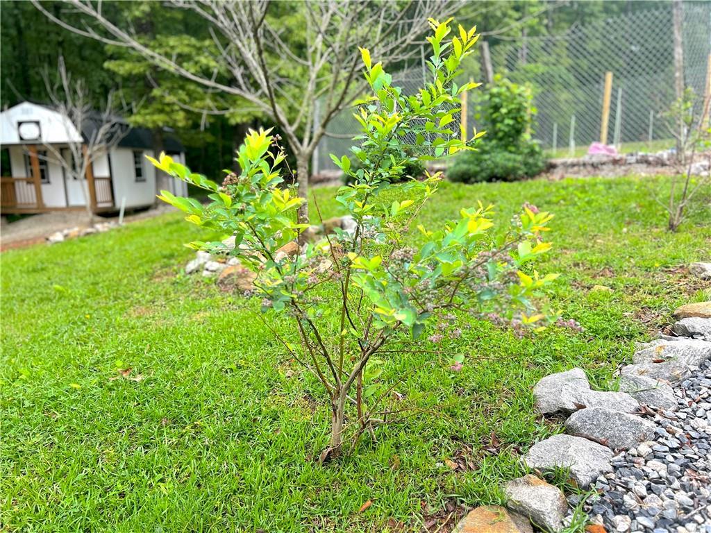 118 Raven Road, Villa Rica, Georgia image 46