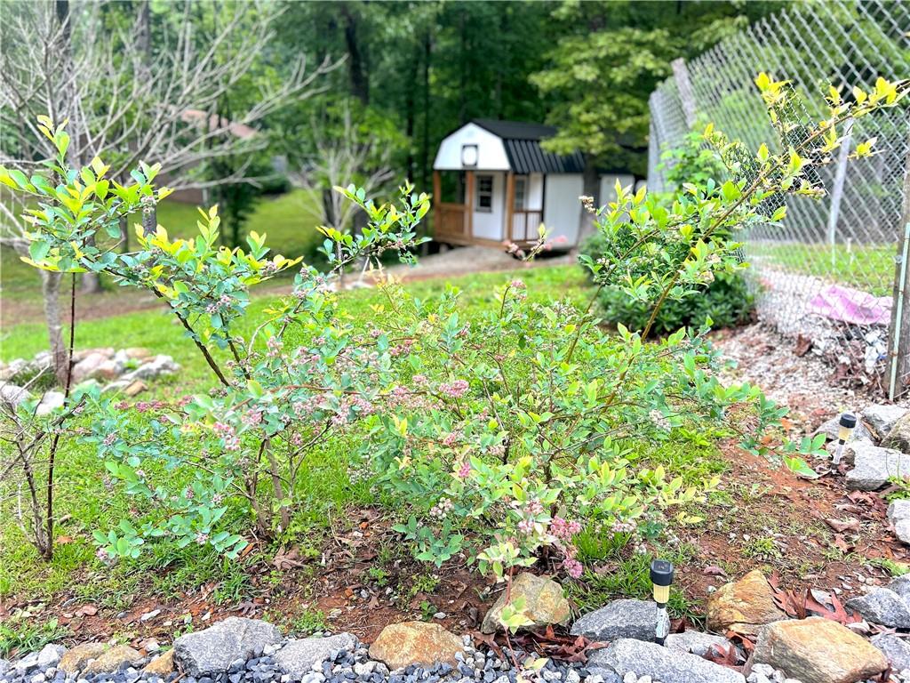 118 Raven Road, Villa Rica, Georgia image 48