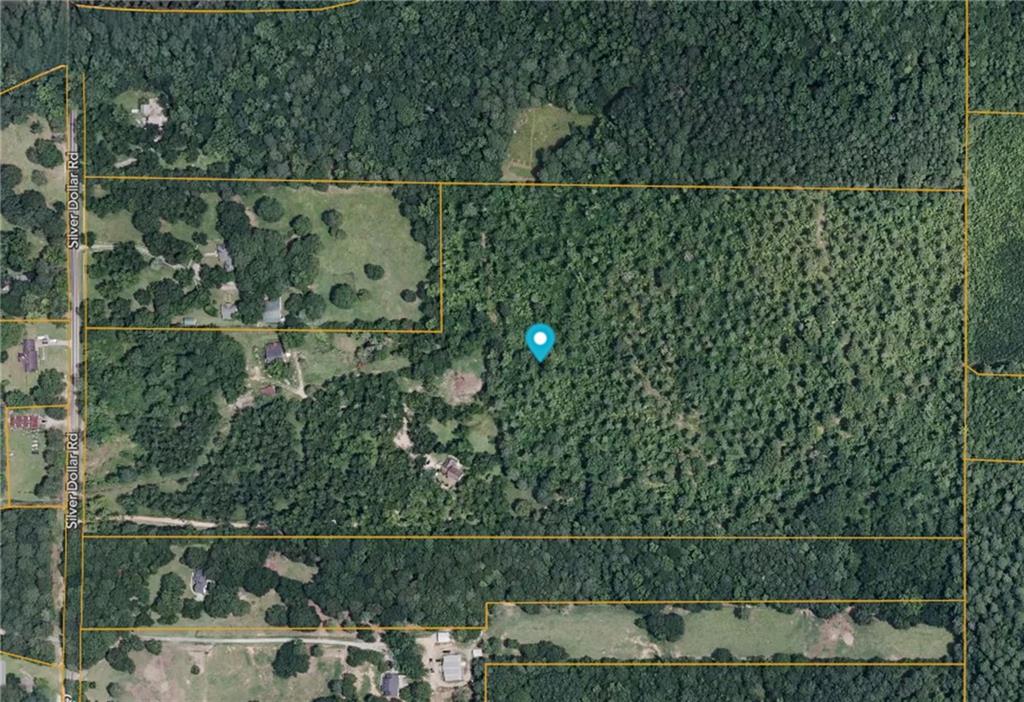 169 Silver Dollar Road