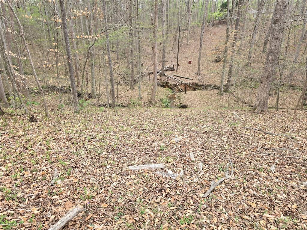 300 Outlaw Ridge, Canton, Georgia image 22