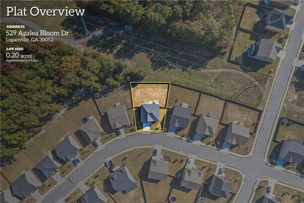 529 Azalea Bloom Drive, Loganville, Georgia image 47