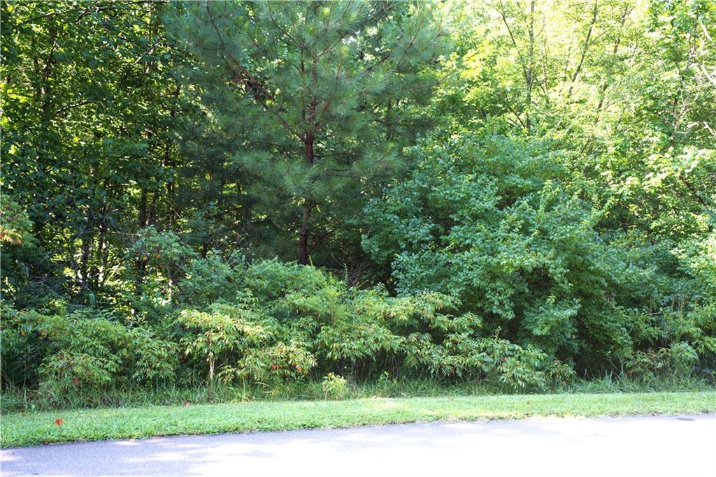 Redfield Way Lot 223 Way, Jasper, Georgia image 2