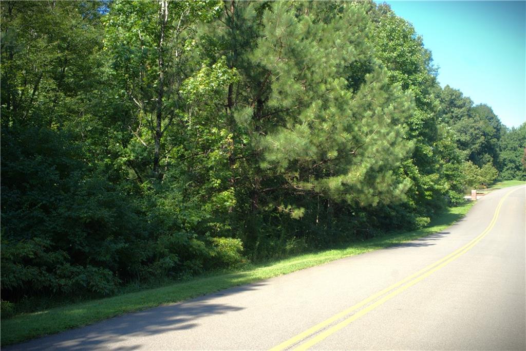 Redfield Way Lot 223 Way, Jasper, Georgia image 3