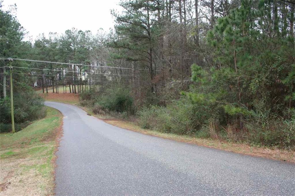 Raccoon Trail, Elberton, Georgia image 1