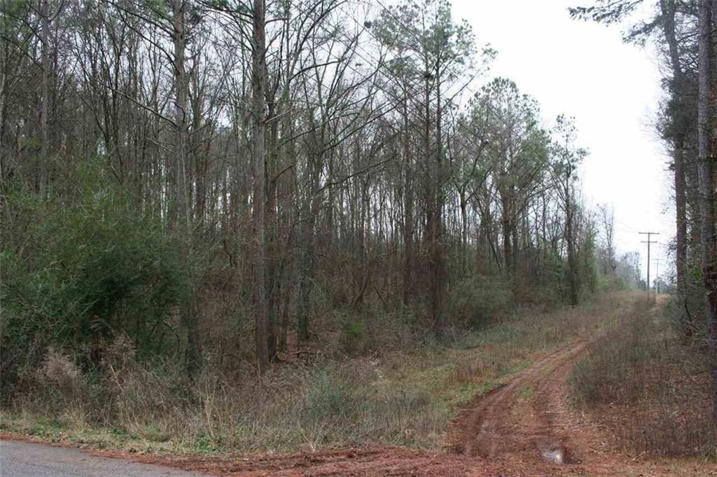 Raccoon Trail, Elberton, Georgia image 3