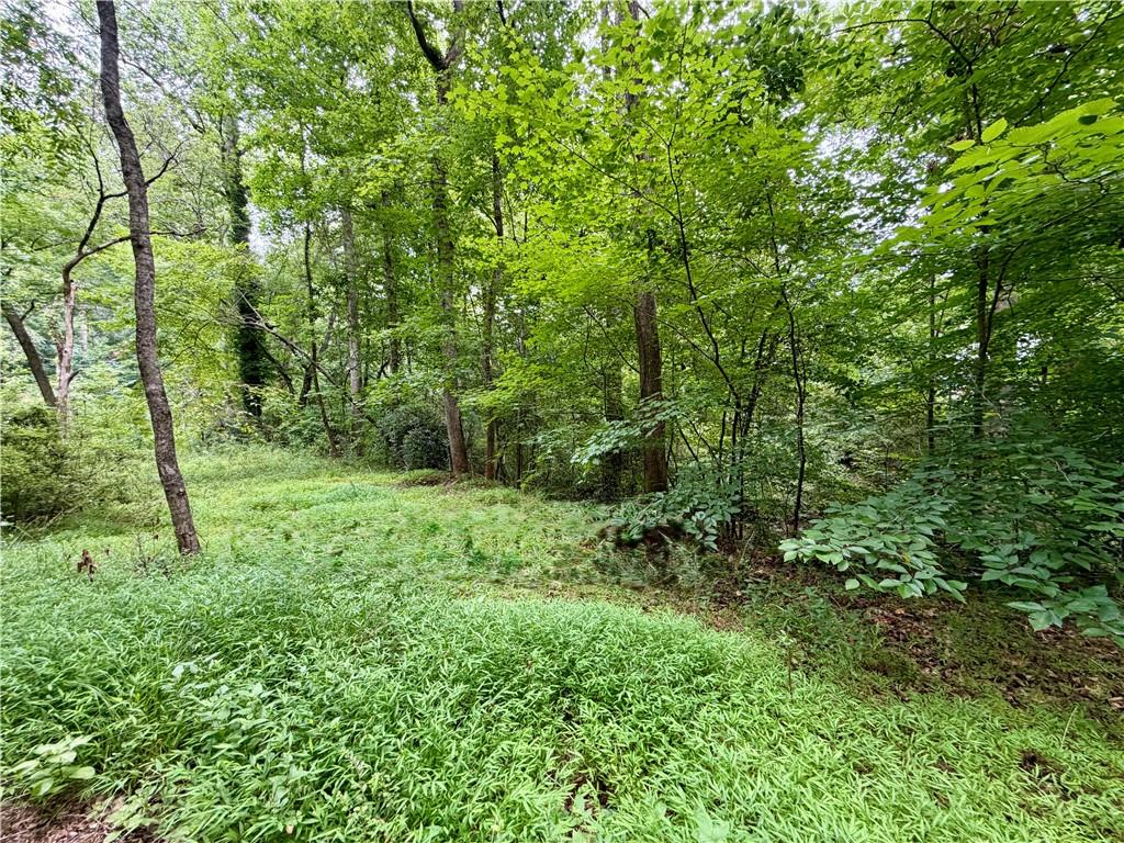 4824 Flakes Mill Road