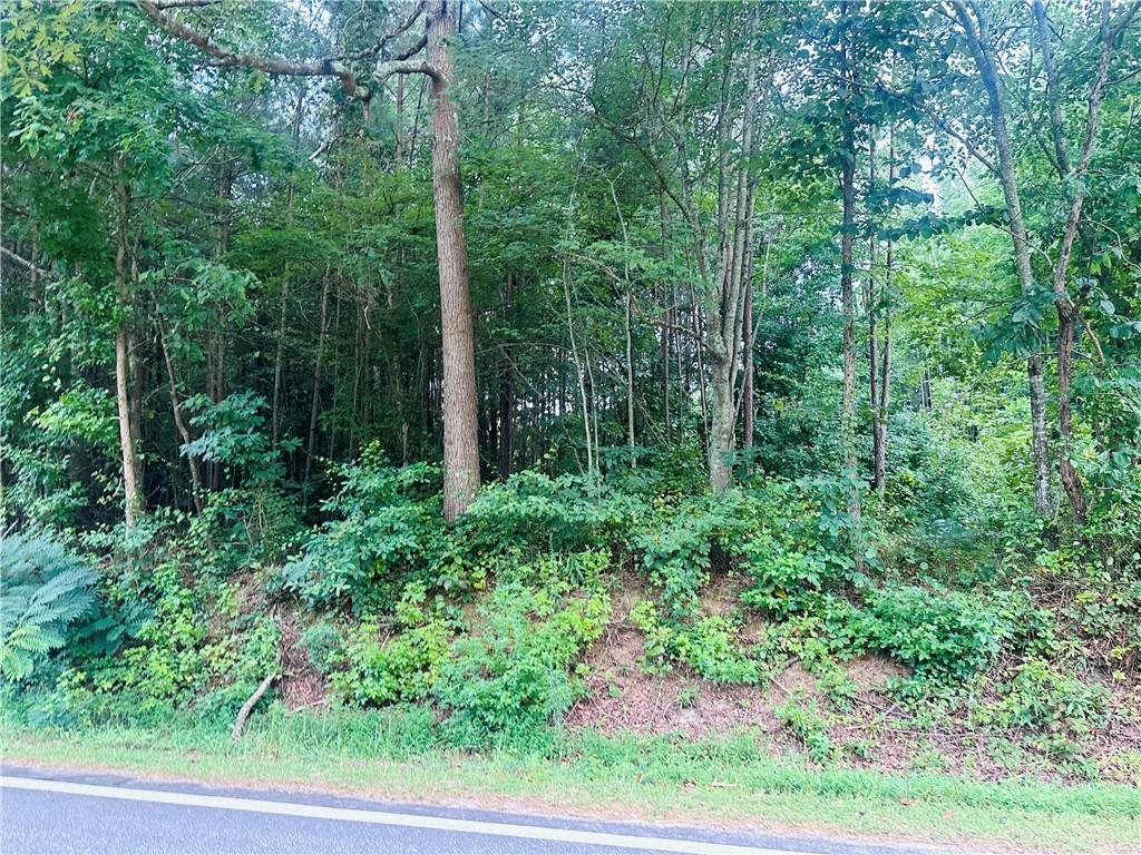 406 Holly Springs Road