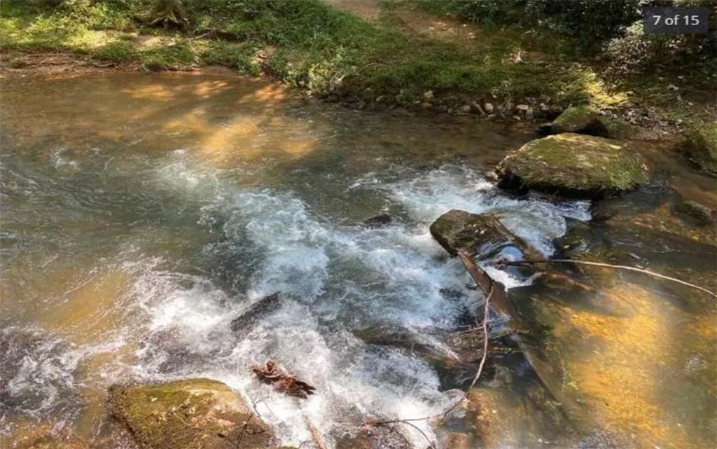 Mill Creek Trail, Cleveland, Georgia image 7
