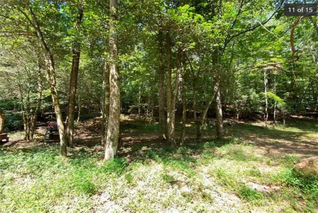 Mill Creek Trail, Cleveland, Georgia image 11