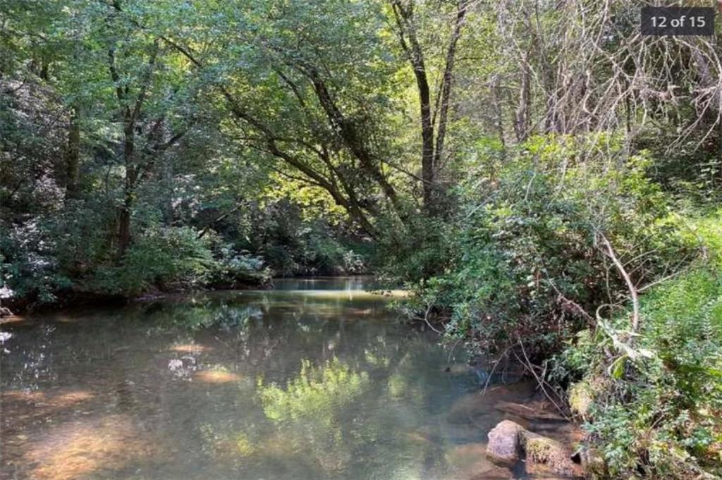 Mill Creek Trail, Cleveland, Georgia image 13