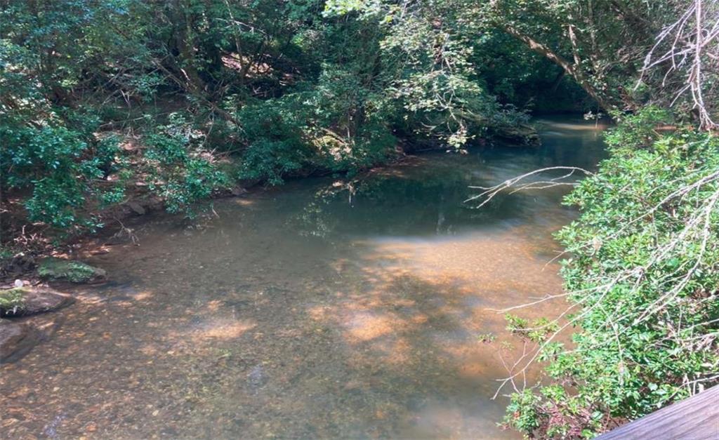 Mill Creek Trail, Cleveland, Georgia image 12