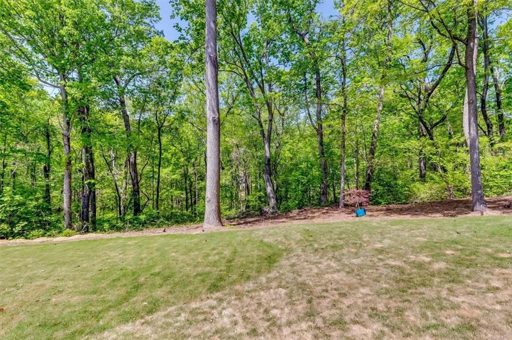 455 Tennyson Knoll, Grayson, Georgia image 46