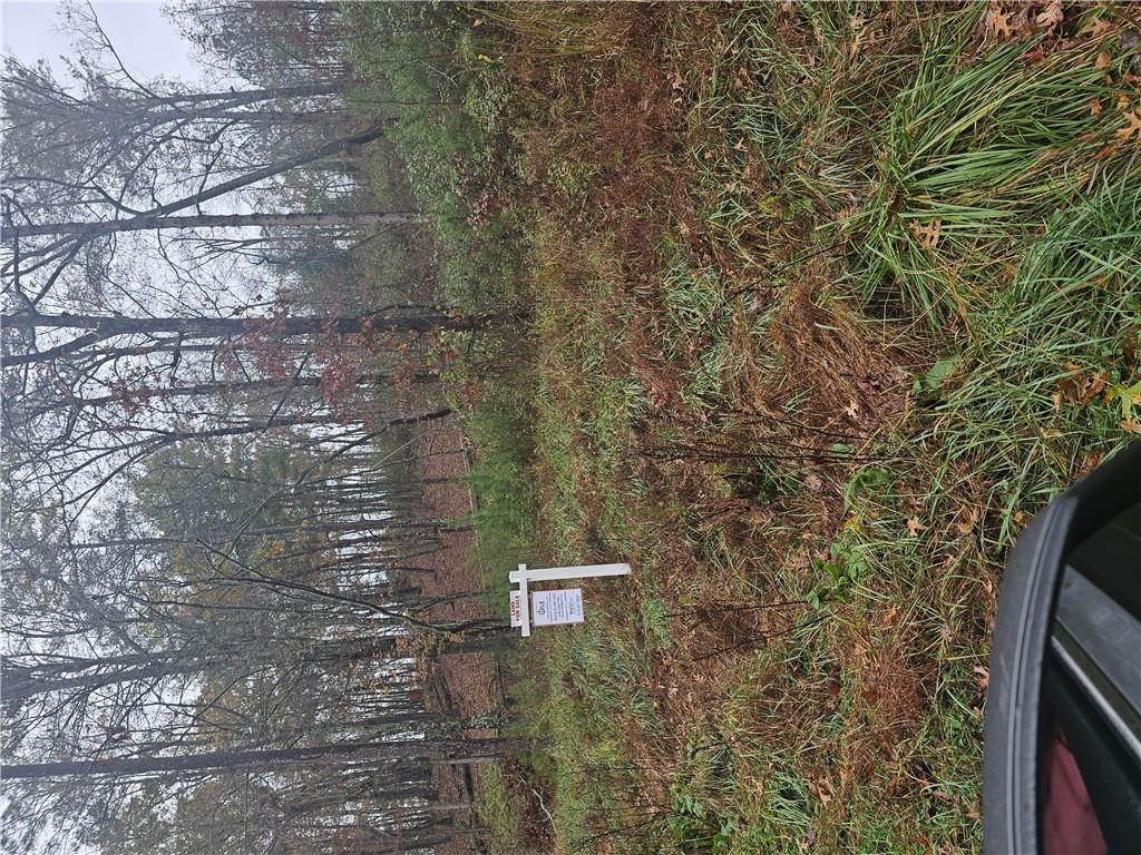 209 Pinnacle Drive, Ellijay, Georgia image 6