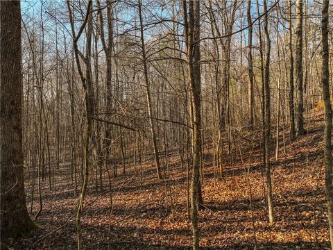 Vacant Land For Sale - LOT 12 Mount Mincie Road<br/> Murrayville, GA 30564