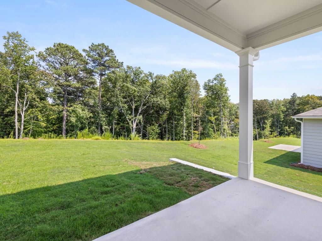 461 Majestic Oak Circle, Dallas, Georgia image 12