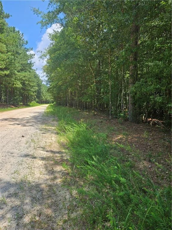292 Mccannon Tract 3a Rd, Carlton, GA, 30627