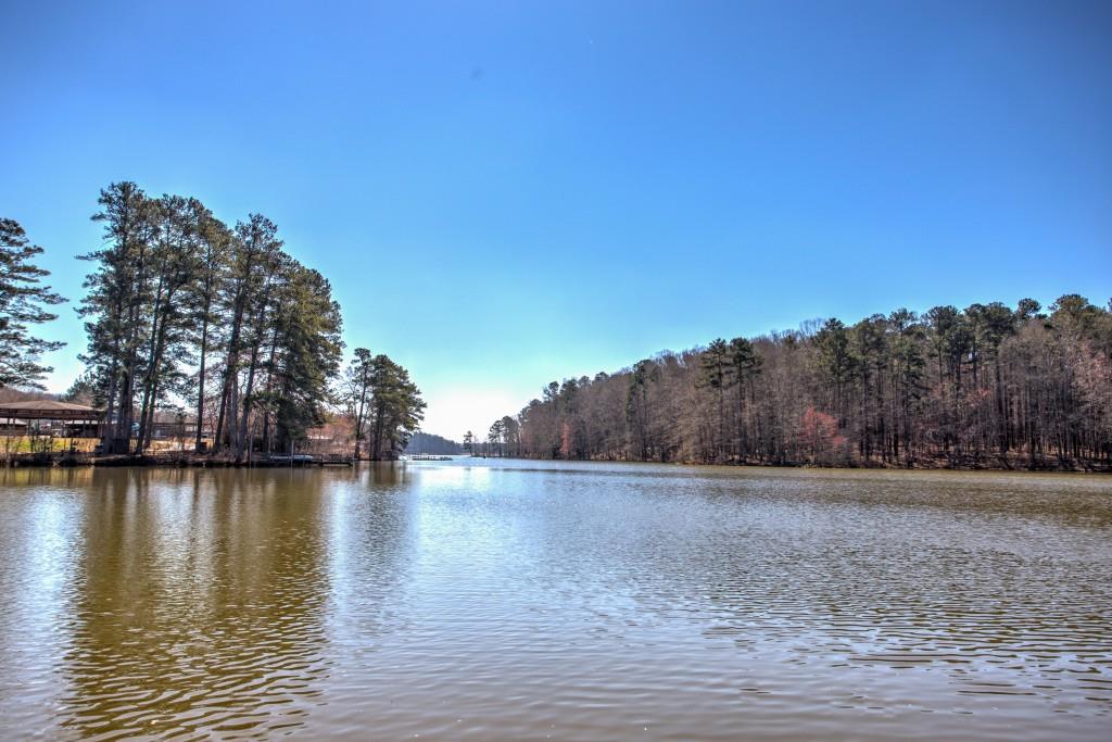 1110 Titus Lane, Statham, Georgia image 22