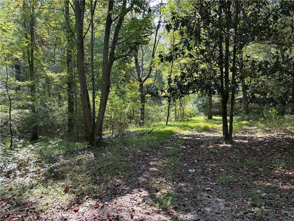 6485 Forsyth Drive