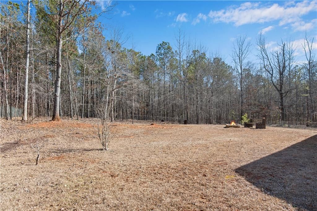 listing image 41