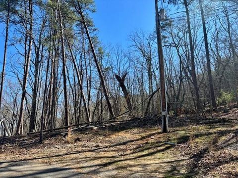 Vacant Land For Sale - 125 Gum Wood Court<br/> Waleska, GA 30183