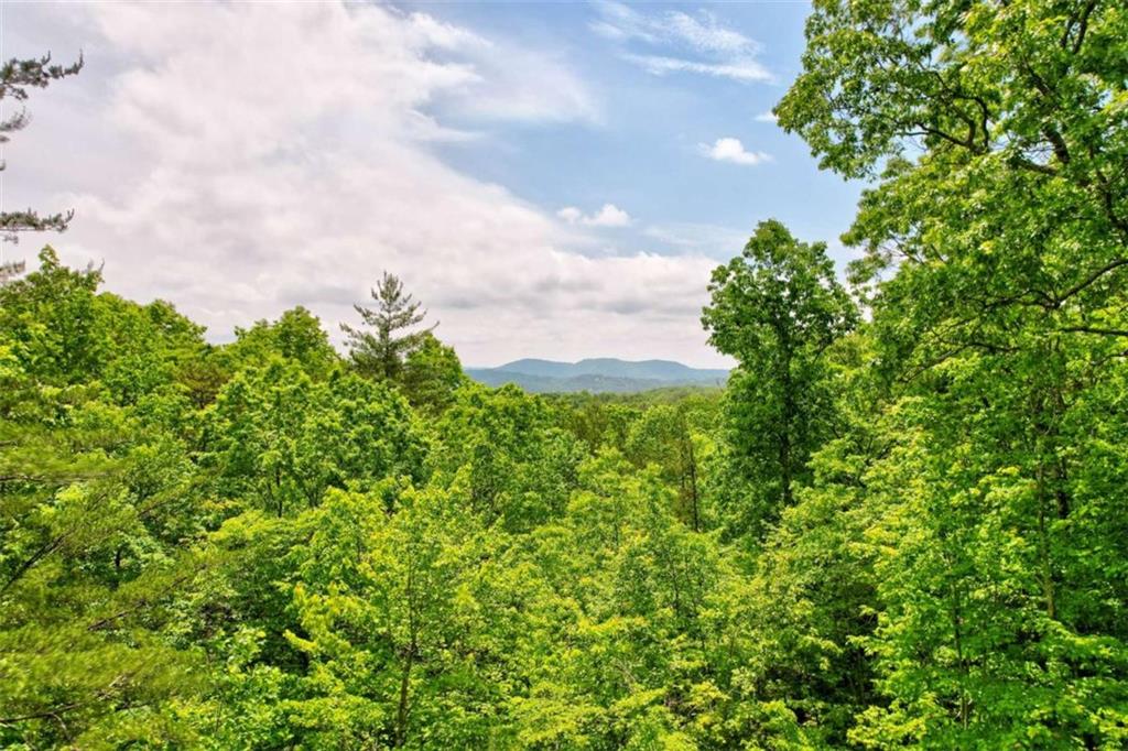 94 Rhinas Trail, Mineral Bluff, Georgia image 3