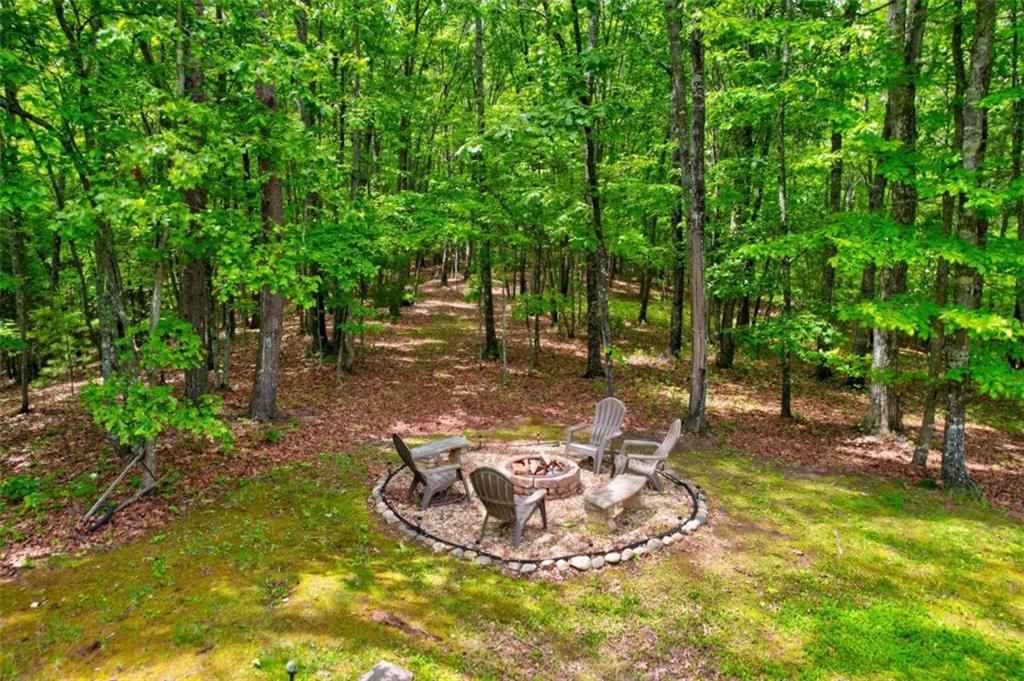 94 Rhinas Trail, Mineral Bluff, Georgia image 10