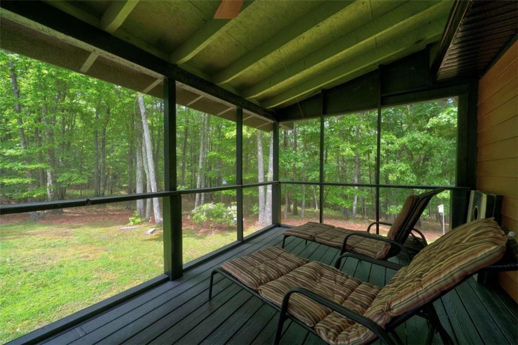 94 Rhinas Trail, Mineral Bluff, Georgia image 45