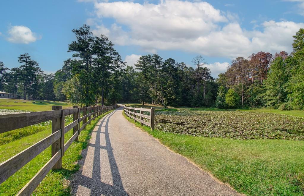 78 Homesite Slick Court, Senoia, Georgia image 35