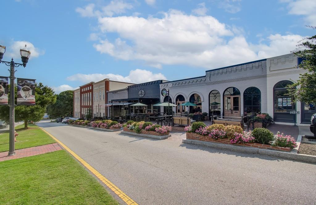 78 Homesite Slick Court, Senoia, Georgia image 33