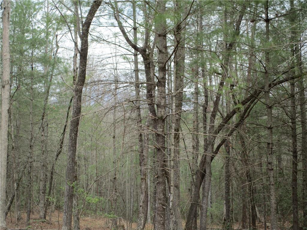 3 AC East New Hope Road
